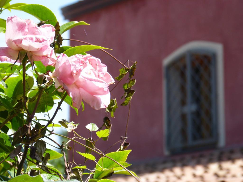 L'Orto Dei Semplici Guest House Mascali Eksteriør bilde